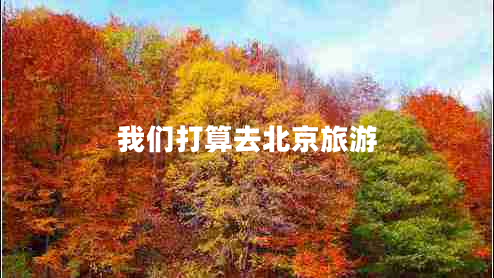 我們打算去北京旅游 我們打算去北京旅游