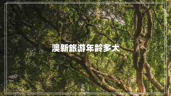 澳新旅游年齡多大