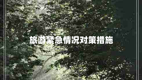 旅游緊急情況對(duì)策措施