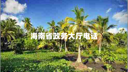 海南省政務(wù)大廳電話