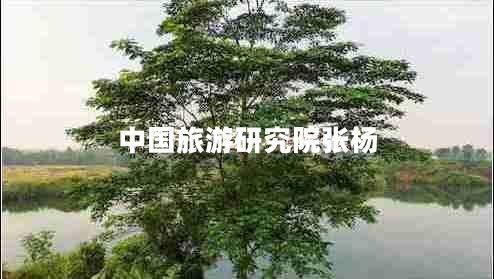 中國旅游研究院張楊