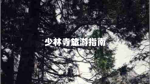 少林寺旅游指南