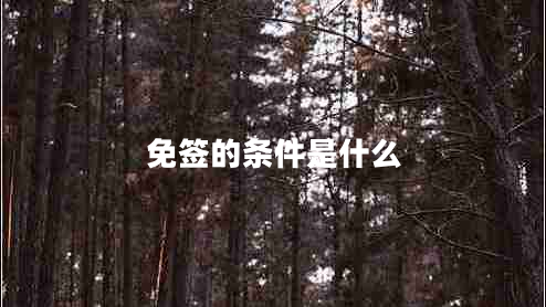 免簽的條件是什么