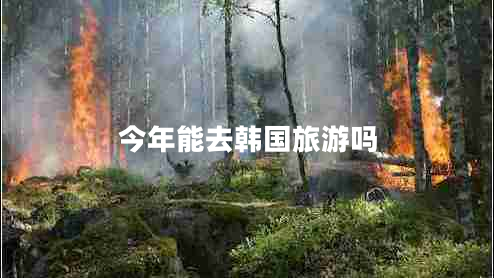 今年能去韓國旅游嗎 今年能去韓國旅游嗎
