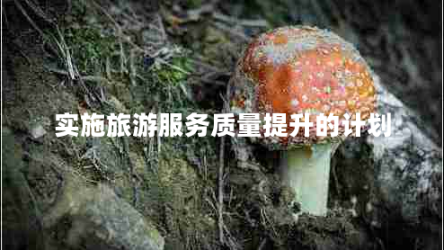 實施旅游服務質量提升的計劃