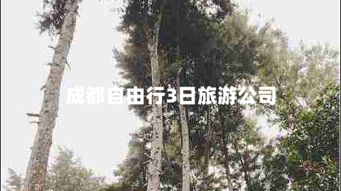 成都自由行3日旅游公司 成都自由行3日旅游公司