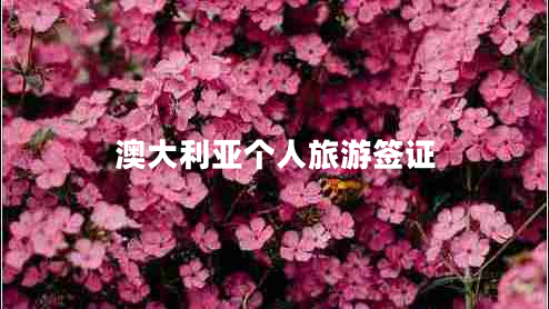 澳大利亞個人旅游簽證