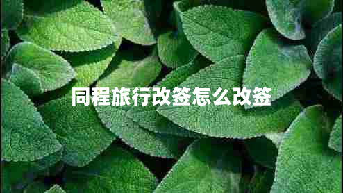同程旅行改簽怎么改簽