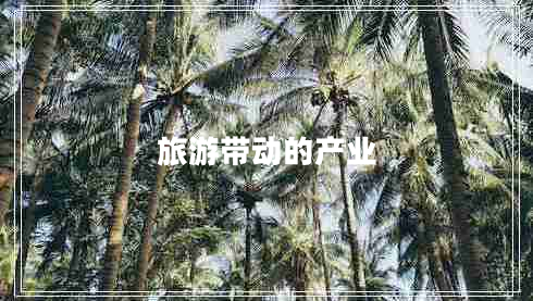 旅游帶動的產(chǎn)業(yè)