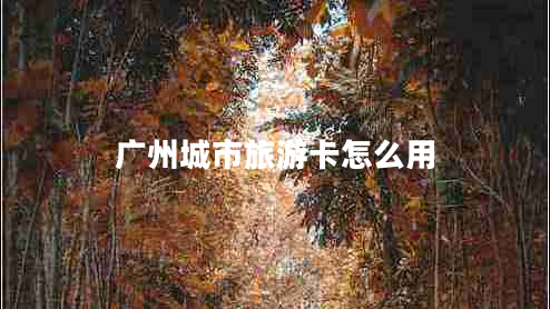 廣州城市旅游卡怎么用 廣州城市旅游卡怎么用