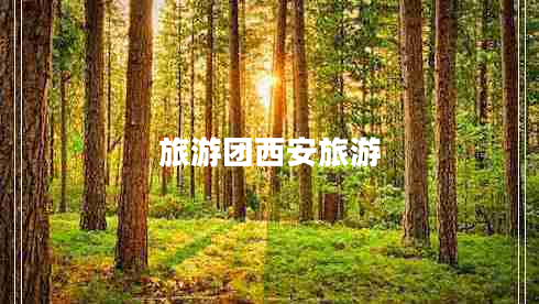 旅游團(tuán)西安旅游