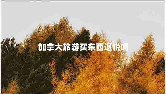 加拿大旅游買東西退稅嗎