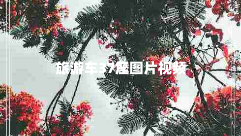 旅游車(chē)37座圖片視頻