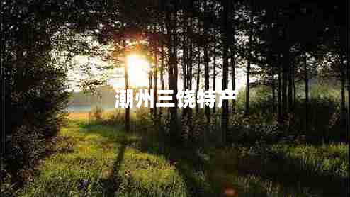 潮州三饒?zhí)禺a