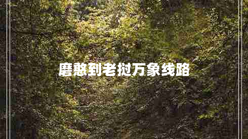 磨憨到老撾萬象線路