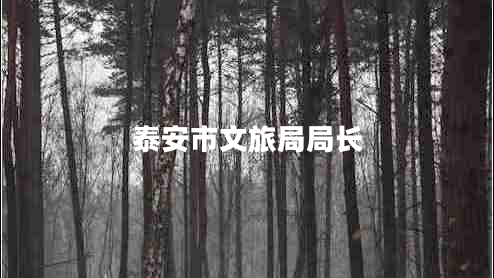 泰安市文旅局局長 泰安市文旅局局長