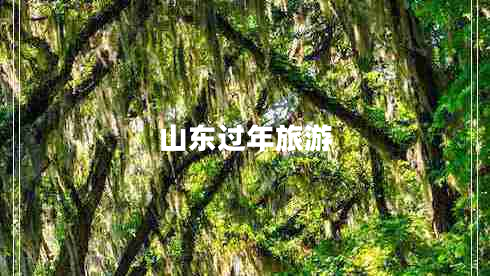 山東過年旅游 山東過年旅游