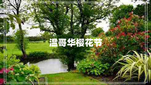 溫哥華櫻花節(jié)