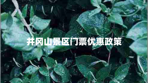 井岡山景區(qū)門票優(yōu)惠政策