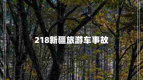 218新疆旅游車事故