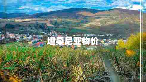 坦桑尼亞物價(jià) 坦桑尼亞物價(jià)