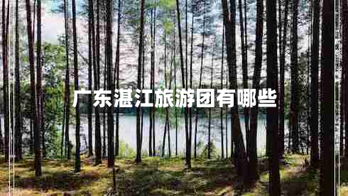 廣東湛江旅游團有哪些