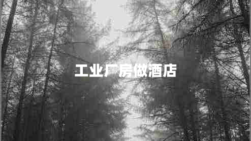 工業(yè)廠房做酒店 工業(yè)廠房做酒店