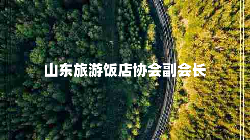山東旅游飯店協(xié)會(huì)副會(huì)長
