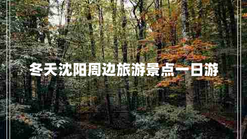 冬天沈陽周邊旅游景點一日游