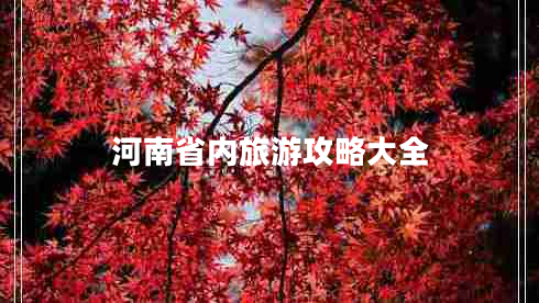 河南省內(nèi)旅游攻略大全