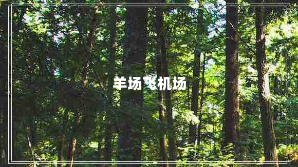 羊場(chǎng)飛機(jī)場(chǎng)