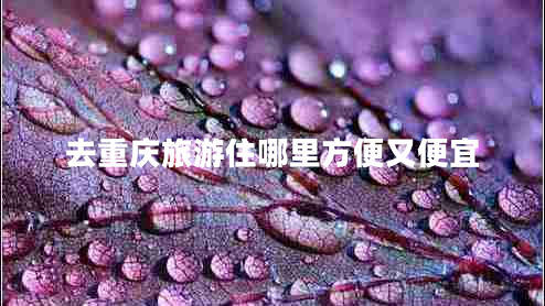 去重慶旅游住哪里方便又便宜