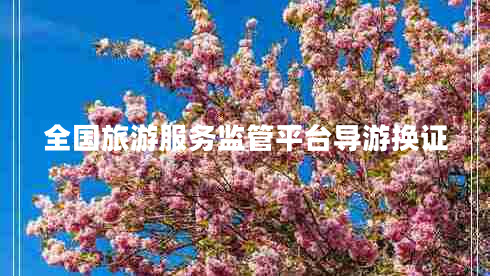 全國旅游服務(wù)監(jiān)管平臺導(dǎo)游換證