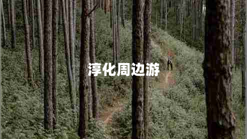 淳化周邊游 淳化周邊游