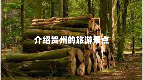 介紹賀州的旅游景點