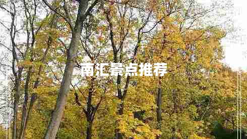 南匯景點(diǎn)推薦