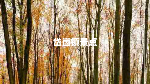 岱崮鎮(zhèn)景點(diǎn) 岱崮鎮(zhèn)景點(diǎn)