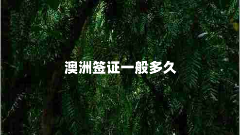 澳洲簽證一般多久 澳洲簽證一般多久