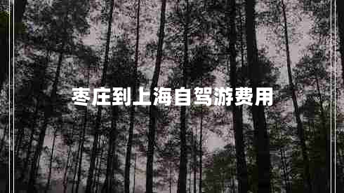 棗莊到上海自駕游費用