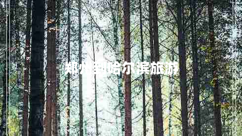 鄭州到哈爾濱旅游 鄭州到哈爾濱旅游