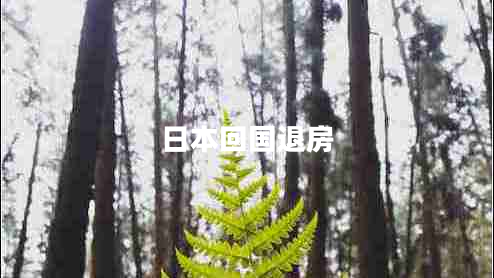 日本回國(guó)退房