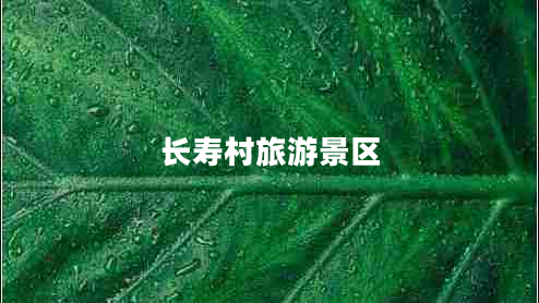 長(zhǎng)壽村旅游景區(qū)
