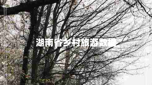 湖南省鄉(xiāng)村旅游數(shù)據(jù)