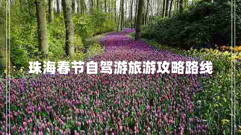 珠海春節(jié)自駕游旅游攻略路線 珠海春節(jié)自駕游旅游攻略路線