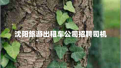 沈陽旅游出租車公司招聘司機