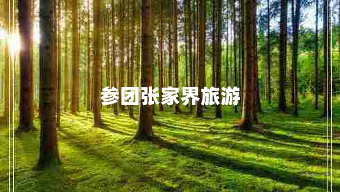 參團張家界旅游