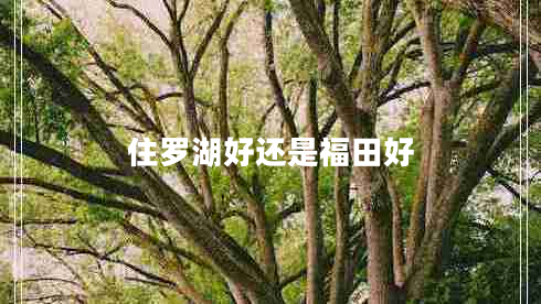 住羅湖好還是福田好 住羅湖好還是福田好
