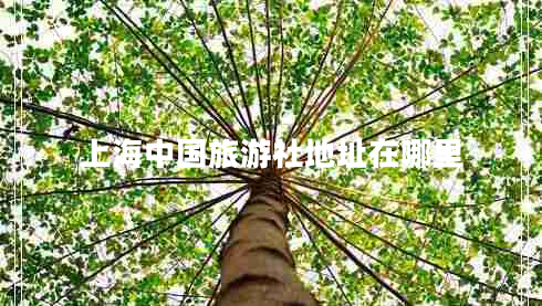 上海中國(guó)旅游社地址在哪里 上海中國(guó)旅游社地址在哪里