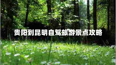 貴陽(yáng)到昆明自駕旅游景點(diǎn)攻略