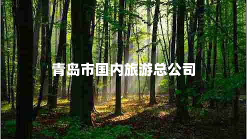 青島市國內(nèi)旅游總公司 青島市國內(nèi)旅游總公司
